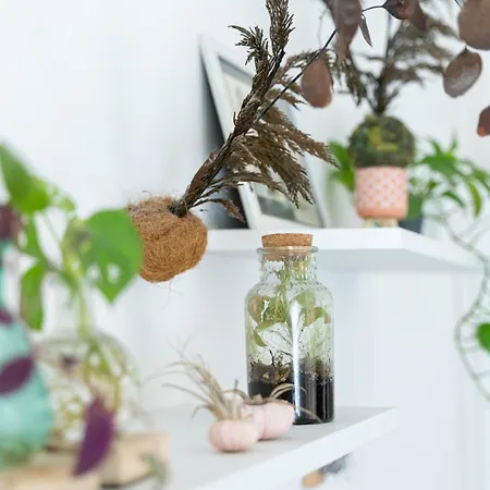 Niu Lux Appartement *