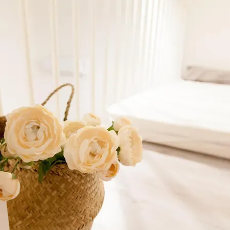 Niu Lux Appartement *