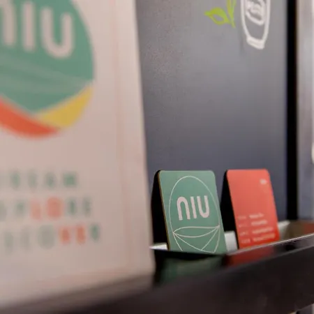 Niu Lux Appartement *