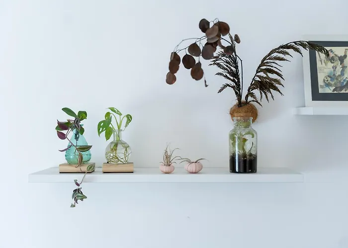 Niu Lux Apartmán