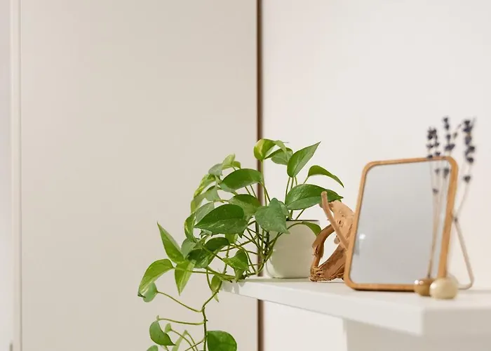 Niu Lux Apartmán Janov